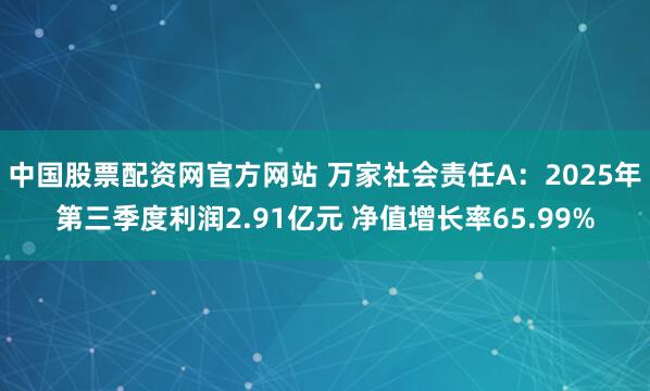 中国股票配资网官方网站 万家社会责任A：2025年第三季度利润2.91亿元 净值增长率65.99%